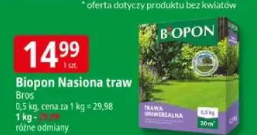 Nasiona traw uniwersalna