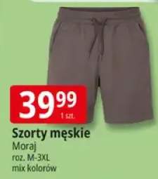 Szorty męskie