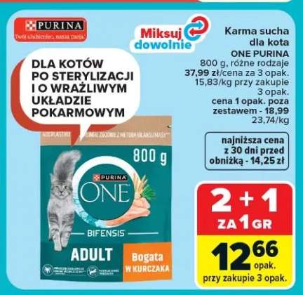 Karma sucha dla kota One Purina Adult