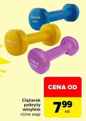 Ciężarek pokryty winylem różne wagi