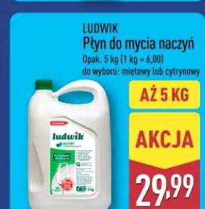Płyn do mycia naczyń do wyboru: miętowy lub cytrynowy