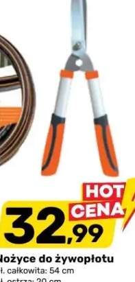 Nożyce do żywopłotu