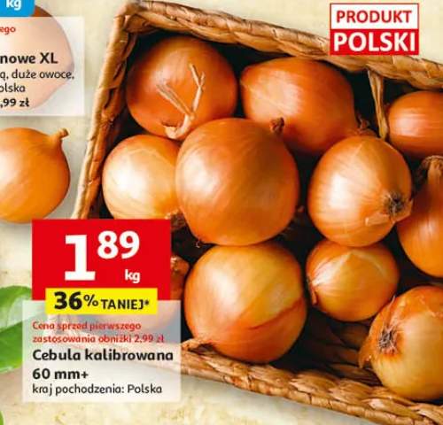 Cebula kalibrowana 60mm+