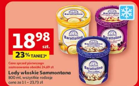 Lody włoskie Sammontana różne rodzaje