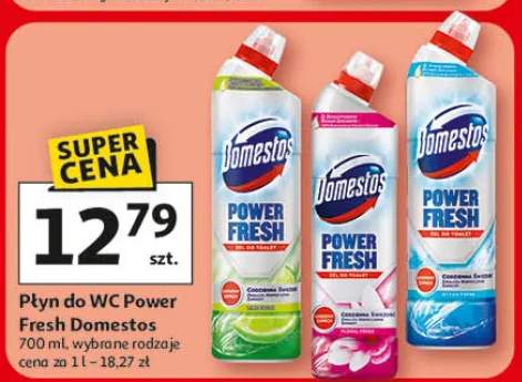 Płyn do WC Power Fresh