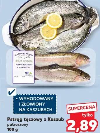 Pstrąg tęczowy z Kaszub patoszony