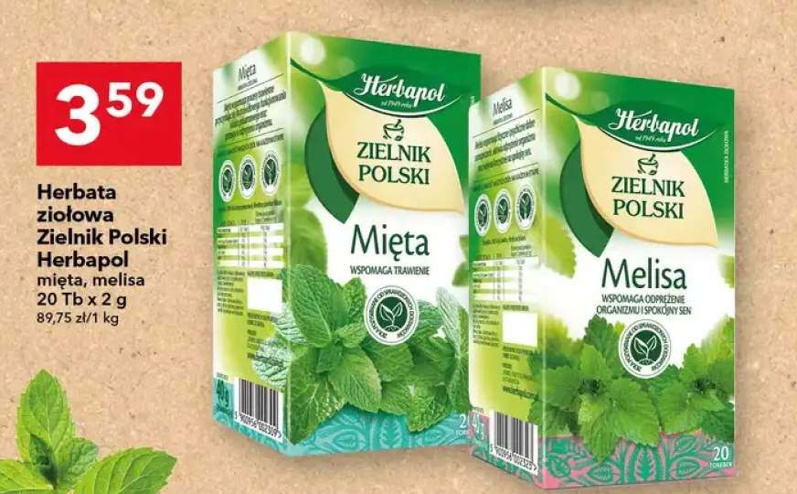 Herbata ziołowa Zielnik Polski melisa
