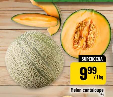 Melon cantaloupe