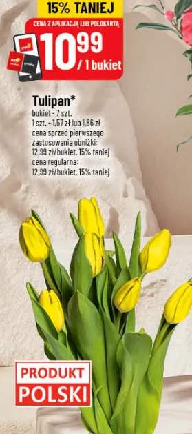 Tulipan bukiet - 7 szt.