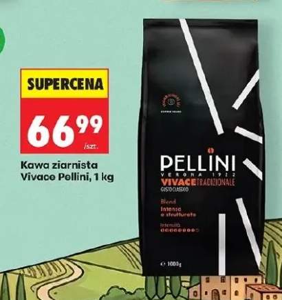 Kawa ziarnista Vivace Tradizionale