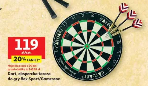 Dart, ekspercka tarcza do gry