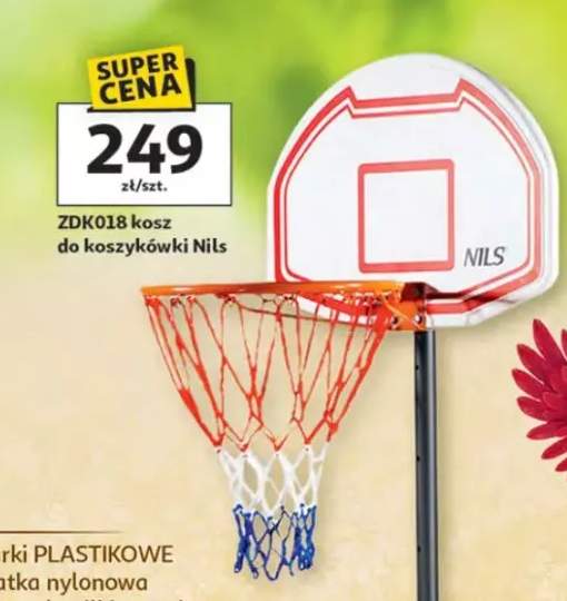 Kosz do koszykówki ZDKO18