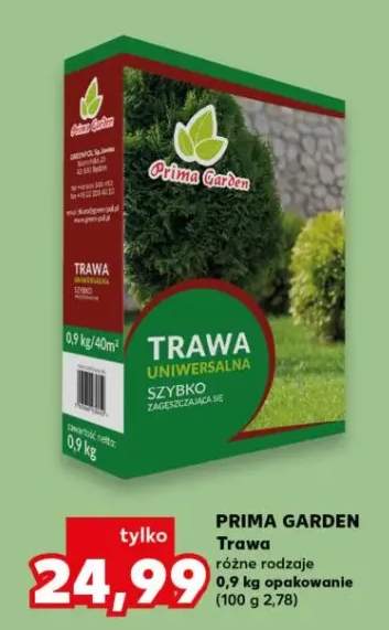 Trawa różne rodzaje