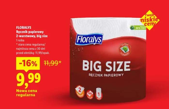 Ręcznik papierowy 2-warstwowy, big size