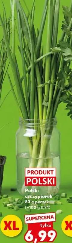 Szczypiorek wydłużony sztuka