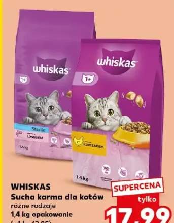 Sucha karma dla kotów różne rodzaje