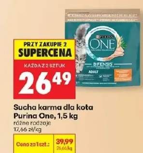 Sucha karma dla kota różne rodzaje