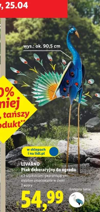 Ptak dekoracyjny do ogrodu