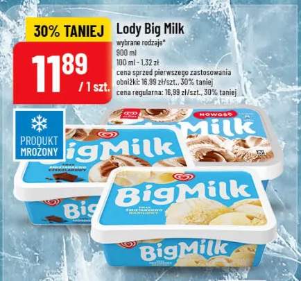 Lody Big Milk wybrane rodzaje
