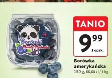 Borówka amerykańska