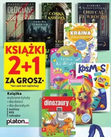 Książka wybrane tytuły dla dzieci, dla dorosłych możliwy MIX rodzajów