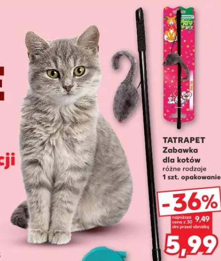 Zabawka dla kotów różne rodzaje