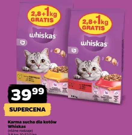 Karma sucha dla kotów (różne rodzaje)