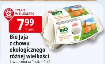 Jaja z chowu ekologicznego różnej wielkości