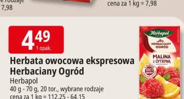 Herbata owocowa ekspresowa Herbaciany Ogród malina z cytryną