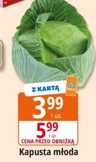 Kapusta młoda