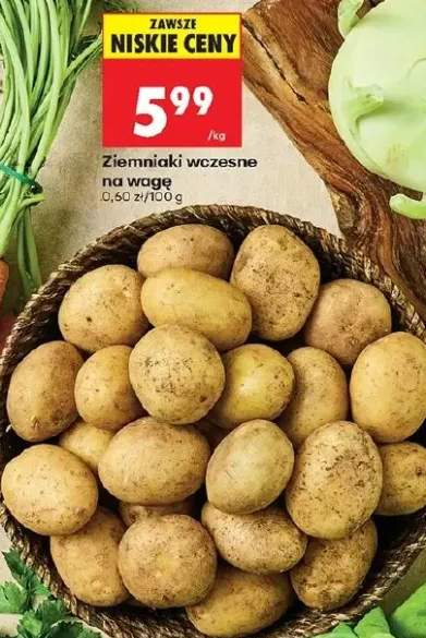 Ziemniaki wczesne na wagę