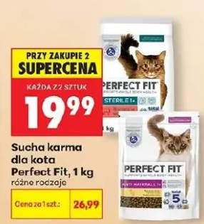 Sucha karma dla kota różne rodzaje