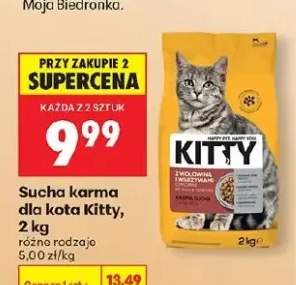 Sucha karma dla kota