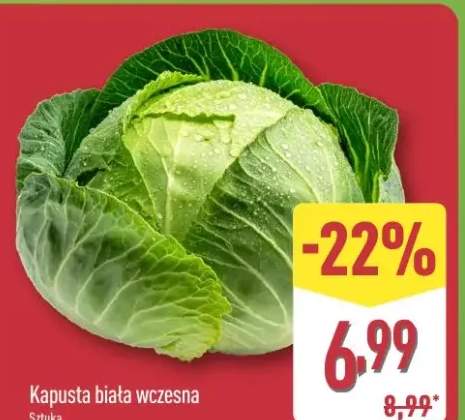 Kapusta biała wczesna