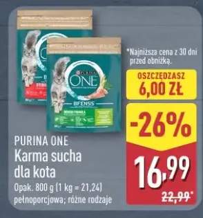 Karma sucha dla kota