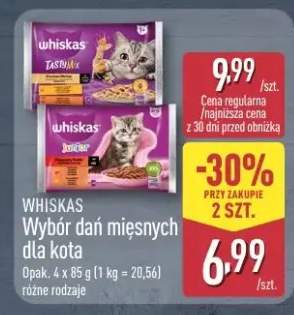 Wybór dań miesznych dla kota