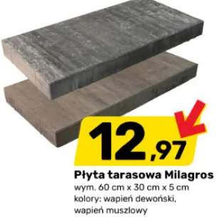 Płyta tarasowa