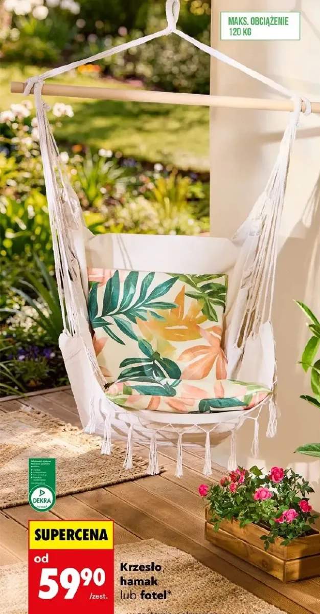 Fotel brazylijski z poduszką