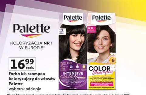 Farba lub szampon koloryzujący do włosów Palette