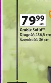 Grabie Solid" Długość: 156.5 cm Szerokość: 36 cm