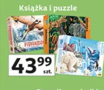 Książka i puzzle