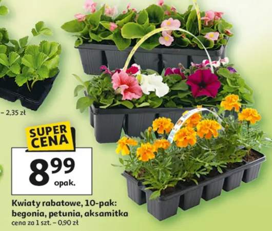 Kwiaty rabatowe 10-pak: begonia, petunia, aksamitka