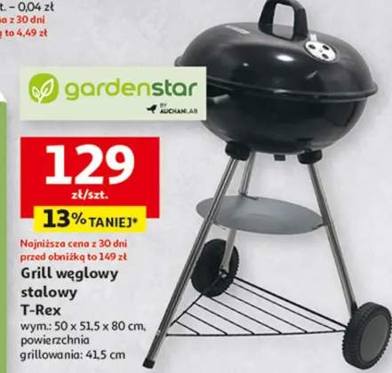 Grill węglowy stalowy T-Rex