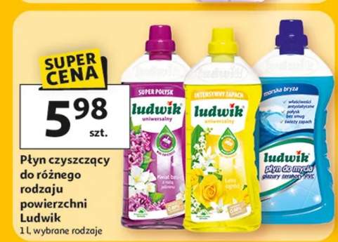 Płyn czyszczący do różnego rodzaju powierzchni Ludwik