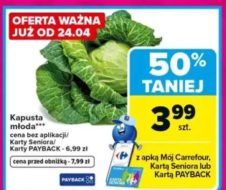 Kapusta włoska