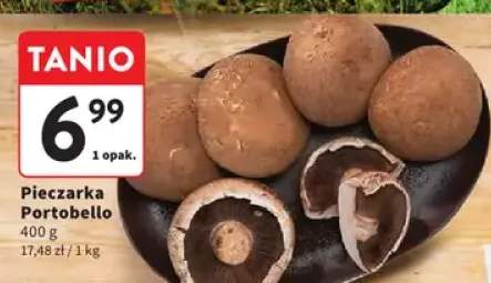 Pieczarka portobello