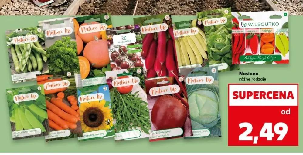 Nasiona bób White Windsor