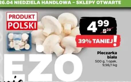 Pieczarka biała