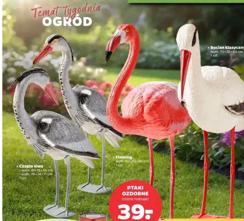 Ptaki ozdobne - bocian klasyczny
