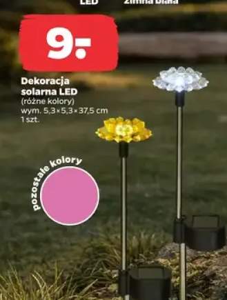 Dekoracja solarna LED (różne kolory)